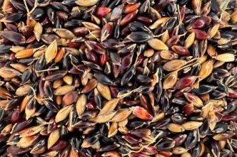 Logistics & Packaging